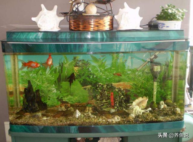 鱼缸里的抽水泵哪里有卖的过滤机