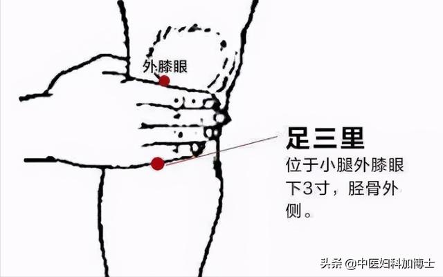 中医认为：月亮与健康有密切的关系，要跟着月亮去养生