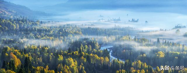 慢性肠炎，6种中成药功效解读