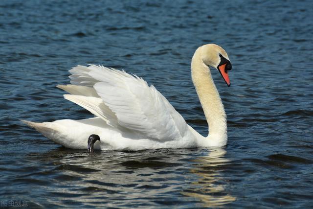 《咏鹅》：文学天才骆宾王，七岁得意之作