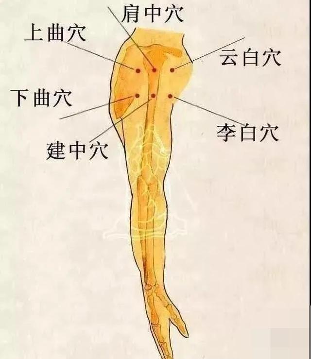 中医针灸上肢疾病处方6