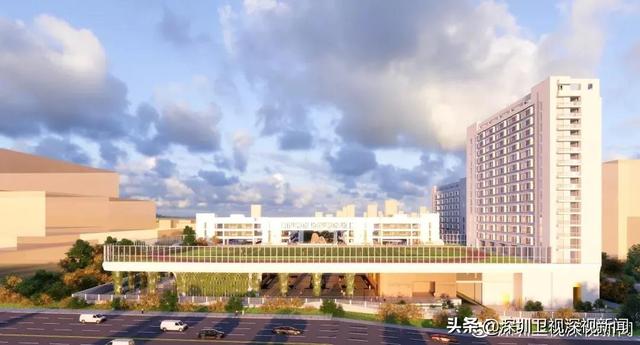 明天开学！落实“双减”政策、疫情防控、校园安全…关注直播这些都有