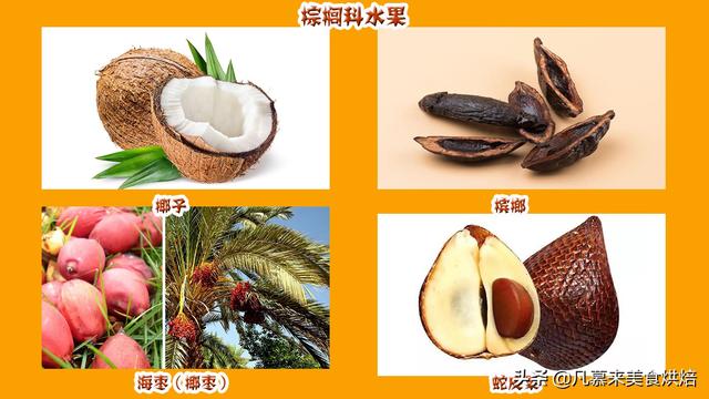 水果有哪些 水果有哪些（水果有哪些形状） 生活