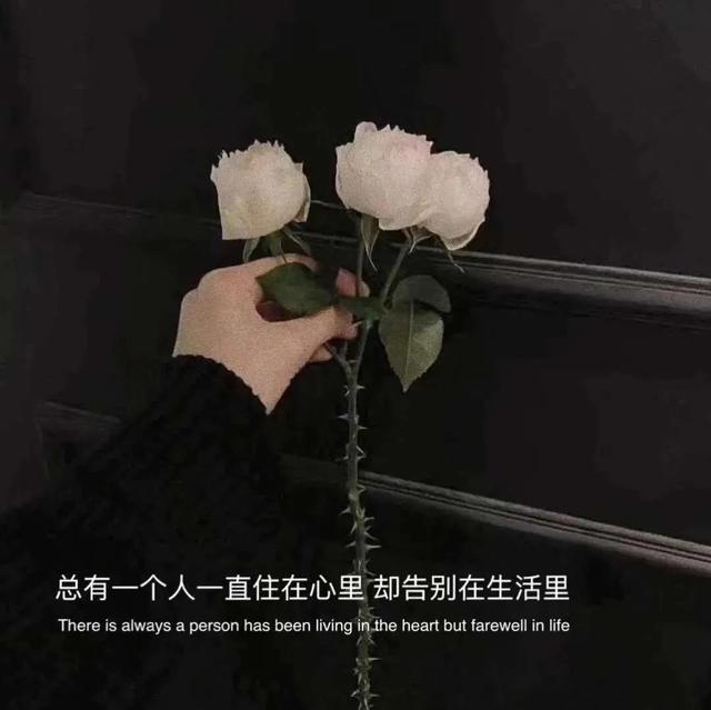 女生做t是什么意思啊