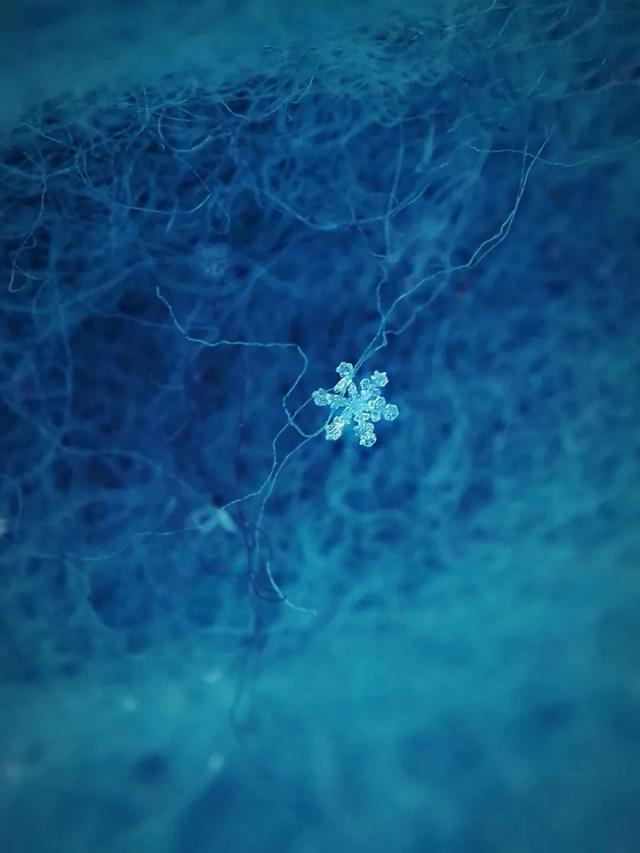 硬知识｜|你真的会用手机摄像头？轻松成为手机拍照高手