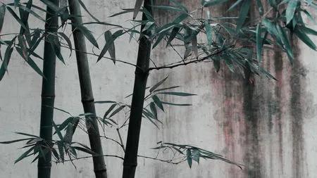 尊师重教的诗歌短文（从古诗词里感受尊师重教）