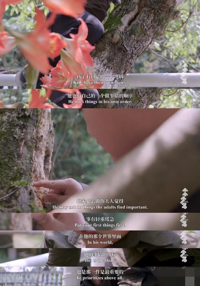 11岁男孩爱好特殊却被父母支持：被父母尊重的孩子，活得有多爽