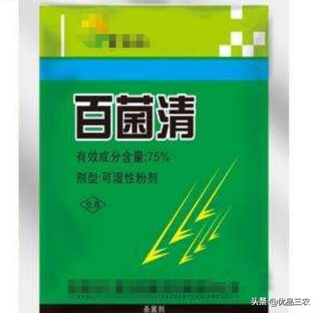 百菌清：全球杀菌剂排第12名？防150种病害，但有3点请注意3