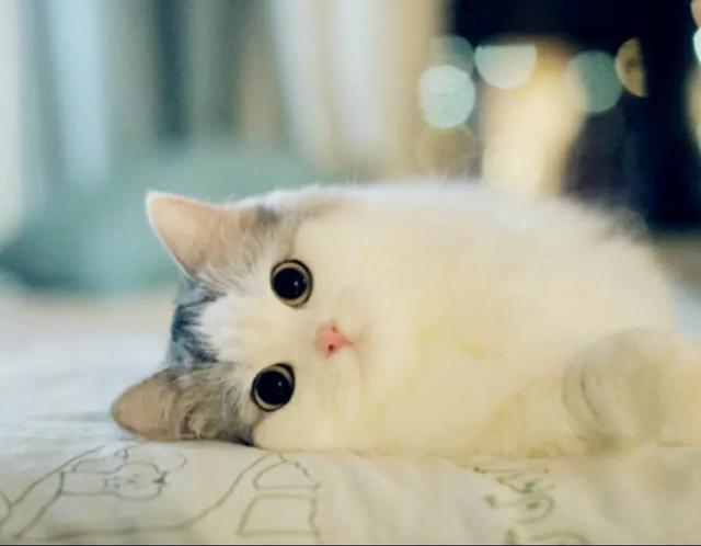 为加快建设人才强省贡献力量u2014u2014贵州科教工作者热议省委人才工作会议精神 