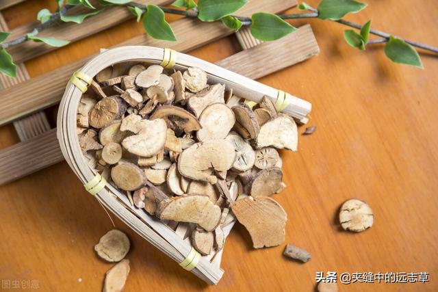 夜尿频繁？送你三味中药，助你补脾益肺，温肾助阳，远离起夜烦恼