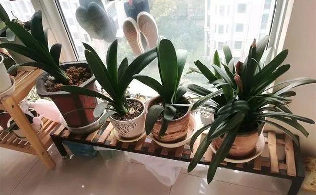 破碎机吸料不全