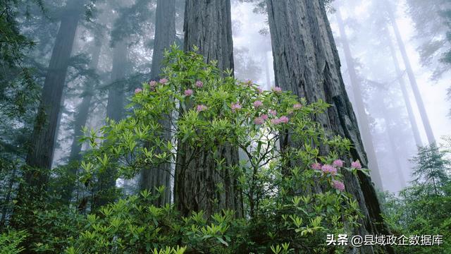 尾矿库安全监督管理规定doc