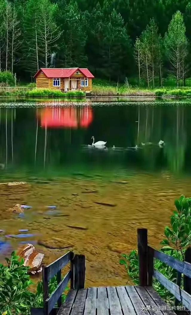 美好的东西分享给大家，特别是第十一张