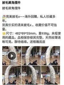犀角化石魚子纹