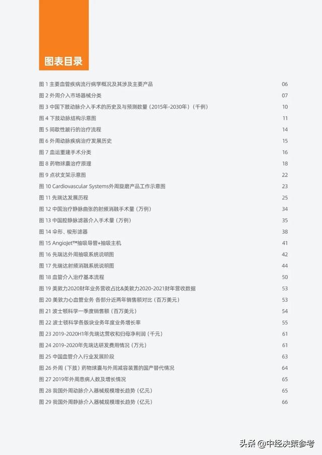 2021外周介入行业研究