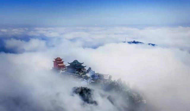 鸟声是云山悠然的种子//邹三龙