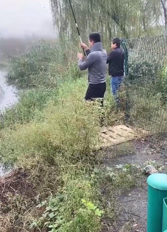国庆高速堵车寸步难行，淡定车主掏出鱼竿钓鱼！一切在我意料之中