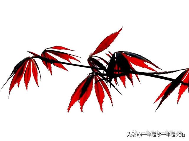 随笔：秋天里