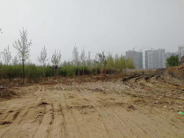 曲阜二手洗砂机