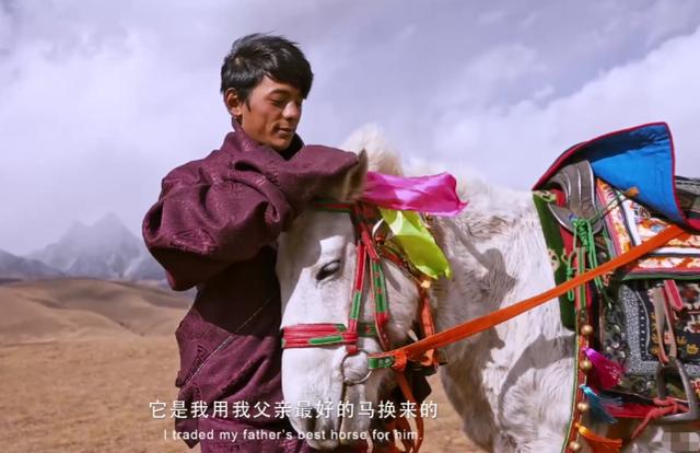 杨超越遭质疑:杨超越落户上海资格被质疑，亲自回应：我可以让更多人知道临港