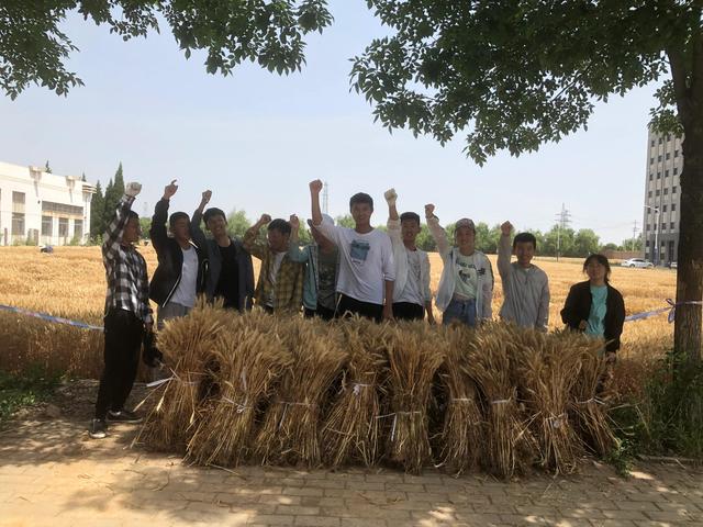 [安卓突破者一键点赞]，学姐送给学妹的话语