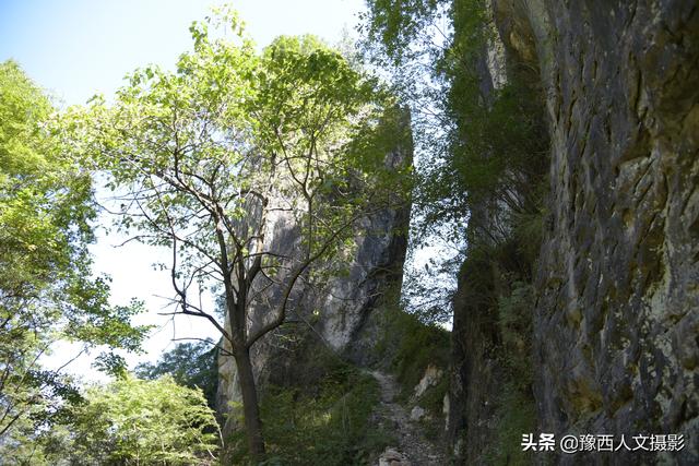 尾矿坝