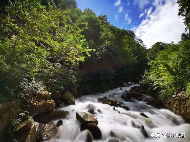 這個七夕唯愛永恒，到遼寧楓林谷山林間感受山河浪漫