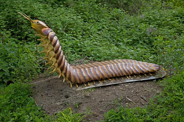 「紧急通知」十大灭绝的可怕古生物(十大灭绝的可怕古生物图片)