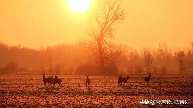 四海为家的意思