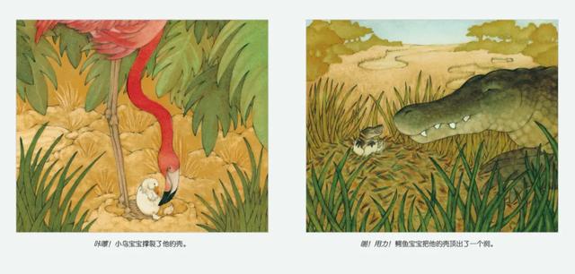 孩子长吧、长吧，你会发芽开花 | 新书上架