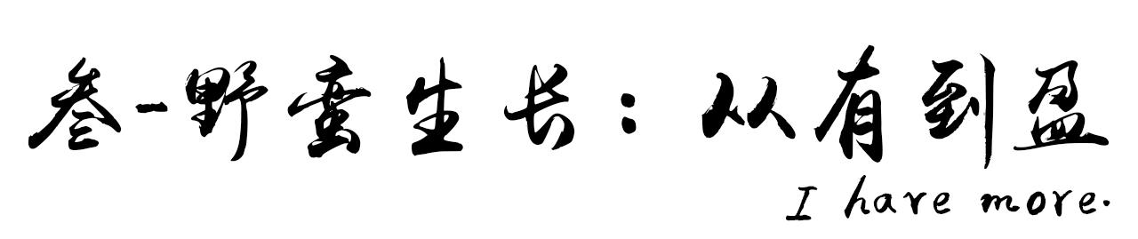 游戏异闻录：十九年耗资两亿，只为打造内心的游戏世界