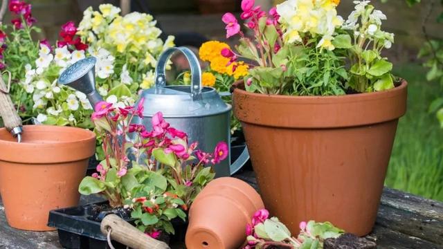 塑料花盆