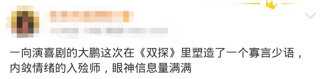 《双探》首播口碑炸裂，清一色的五星好评，段奕宏大鹏飙戏太精彩