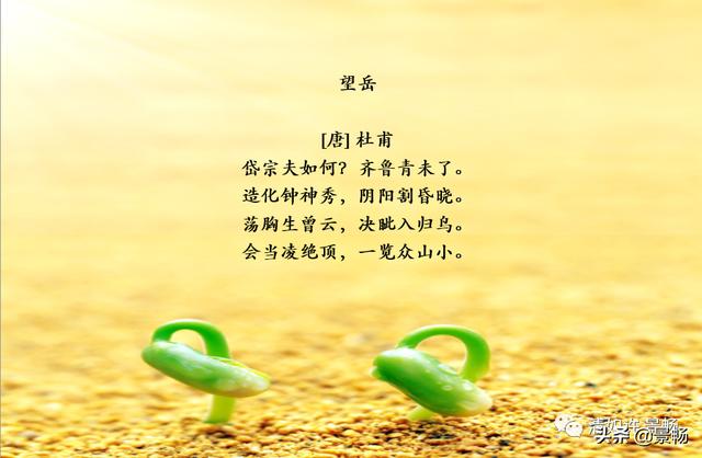 工作篇——位置