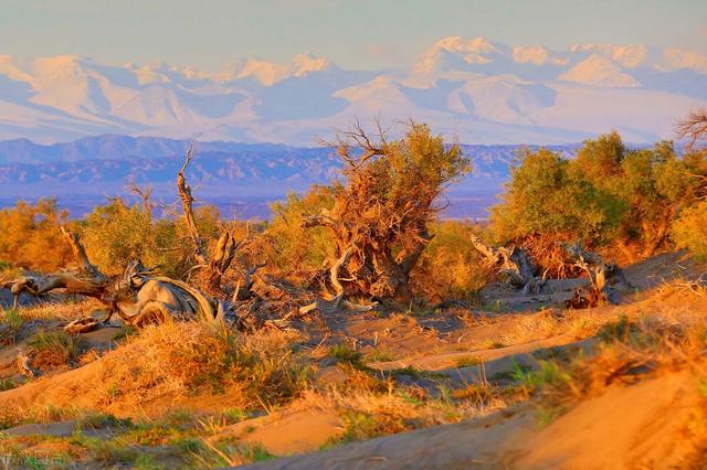在基础教育领域里，是否真的能够遵从儿童的天性