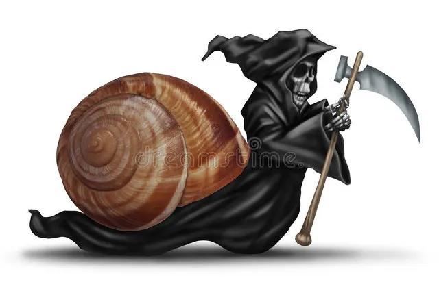 什么习惯会让人长寿