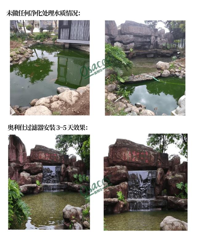 怎么选鱼池过滤机