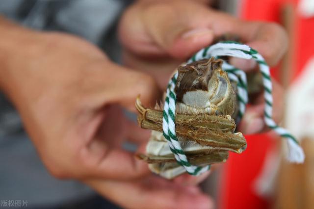 网络“白菜价”，现实卖不动，大闸蟹旺季遇冷？吃货：不交智商税
