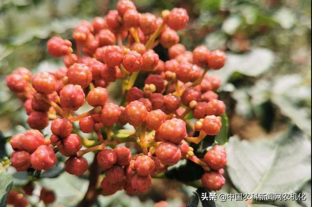 雅氏塑胶机械展