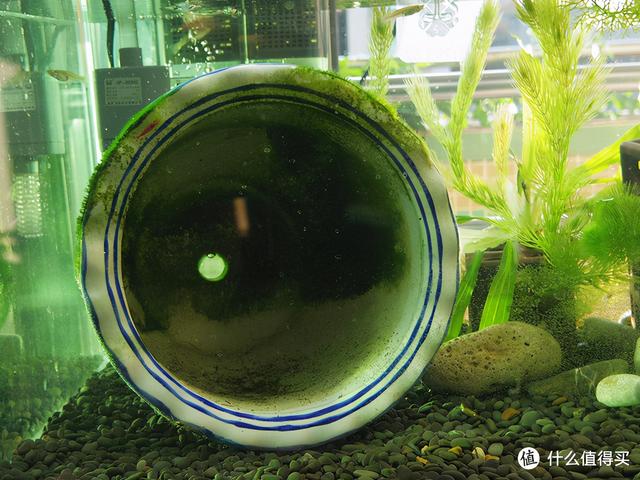 大蜗牛制砂机