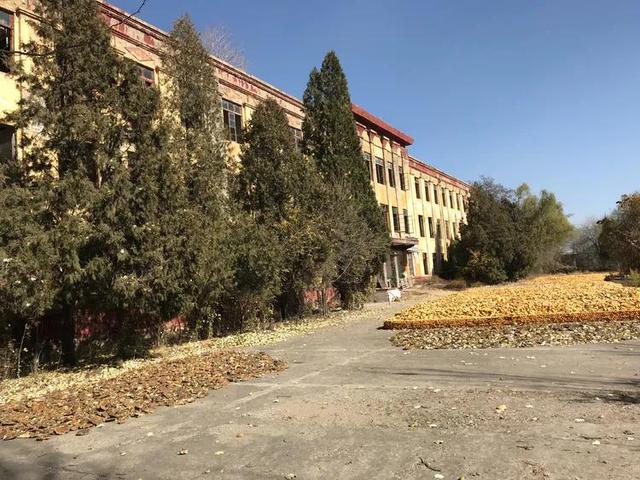 文章图片15