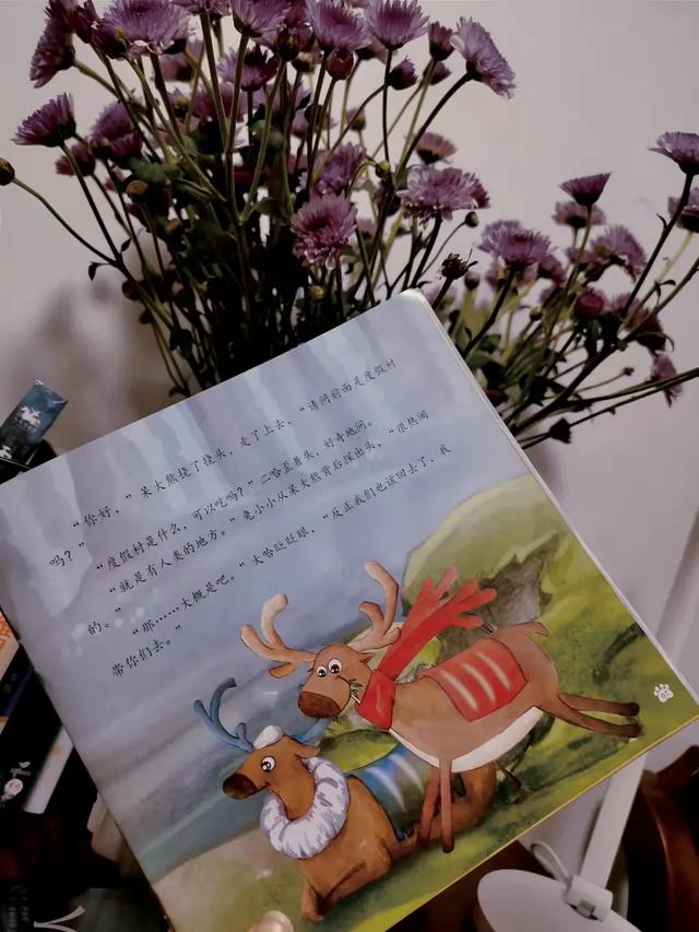 每个孩子都是“呆大熊”，去开启属于他们独一无二的人生冒险