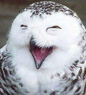 被MIUI不稳定伤透心后，荣耀 Magic  3 Pro  短期个人向体验