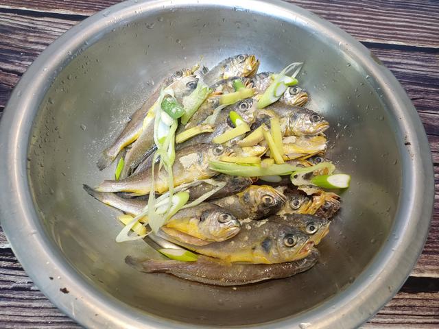 小黄花鱼