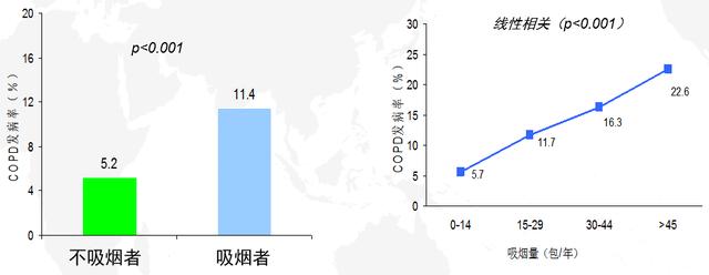 吸煙只會引起肺癌嗎？
