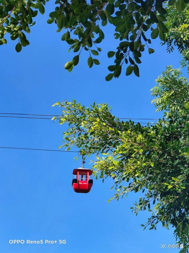 南湾猴岛好玩吗（南湾猴岛值得去吗）