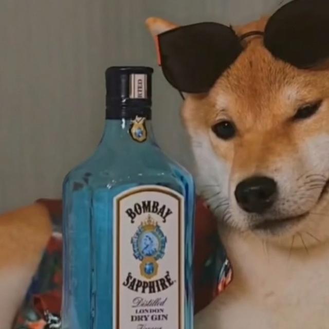壶里面有点