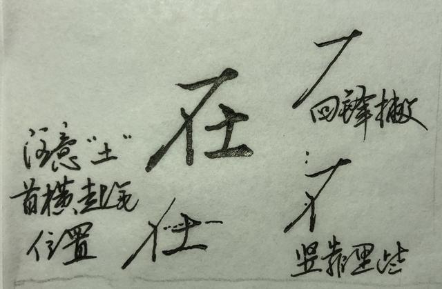 鸟的笔顺怎么写