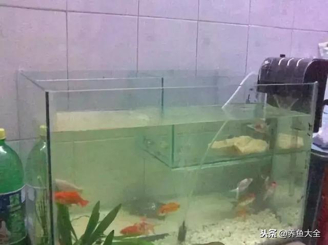 包含过滤机多久保养的词条