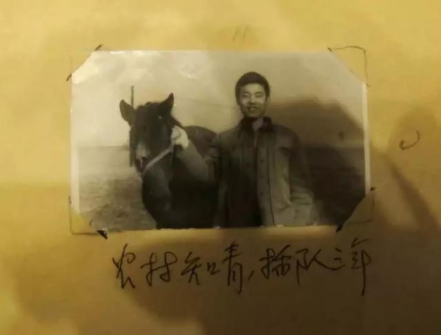 葛优老婆个人资料简介（葛优妻子贺聪年龄多大）